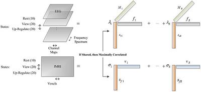 Dynamic functional connectivity estimation for neurofeedback emotion regulation paradigm with simultaneous EEG-fMRI analysis